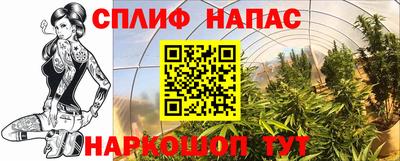 круглые Тара