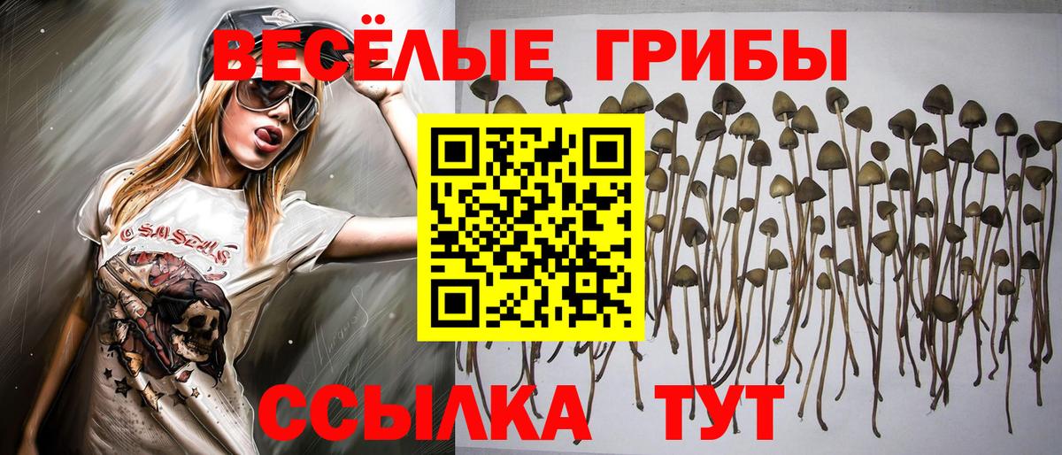 Галлюциногенные грибы прущие грибы  Вход с VPN  Обнинск 